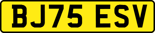 BJ75ESV