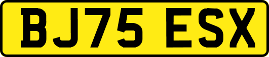 BJ75ESX