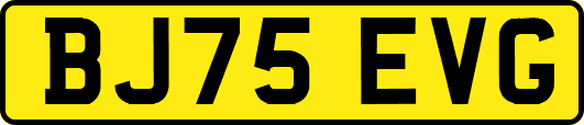 BJ75EVG