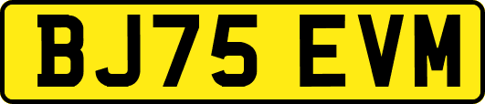 BJ75EVM