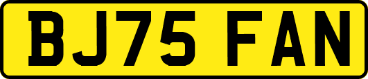 BJ75FAN
