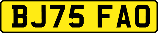 BJ75FAO