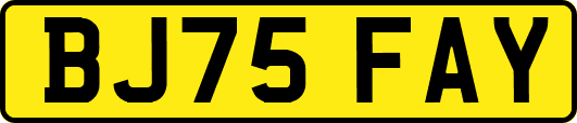 BJ75FAY