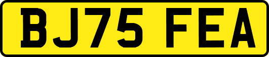 BJ75FEA
