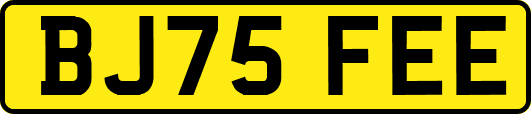 BJ75FEE