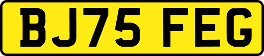 BJ75FEG