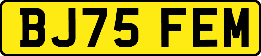BJ75FEM