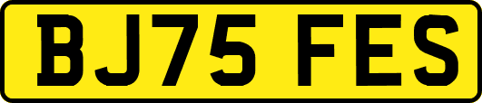 BJ75FES