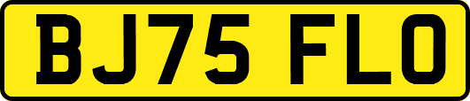BJ75FLO