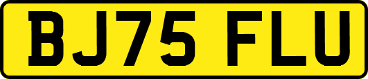 BJ75FLU