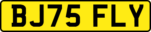 BJ75FLY