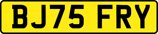 BJ75FRY