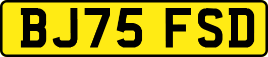 BJ75FSD