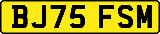 BJ75FSM