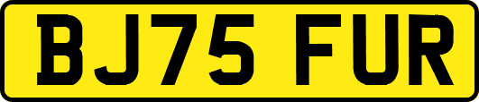BJ75FUR