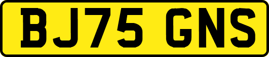 BJ75GNS
