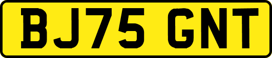 BJ75GNT