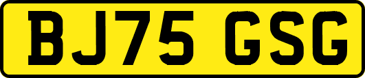 BJ75GSG