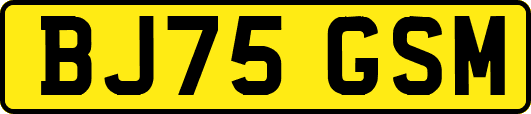 BJ75GSM