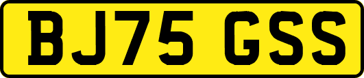 BJ75GSS