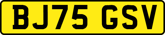BJ75GSV