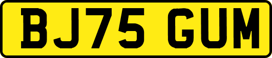BJ75GUM