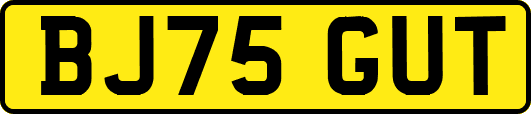 BJ75GUT
