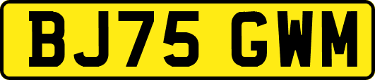 BJ75GWM