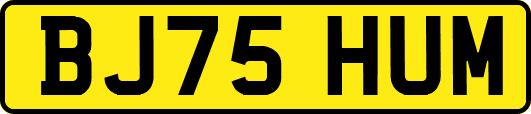 BJ75HUM