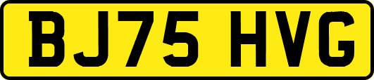 BJ75HVG
