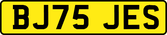 BJ75JES