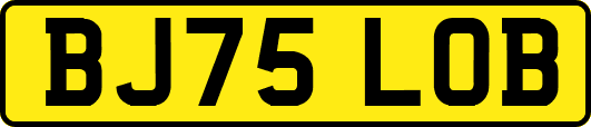 BJ75LOB