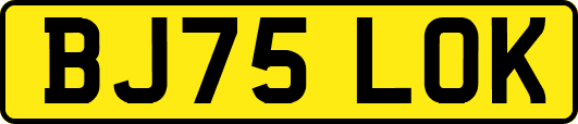 BJ75LOK