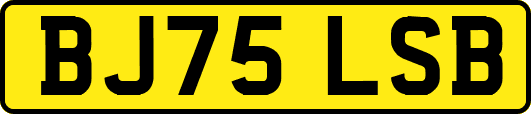 BJ75LSB