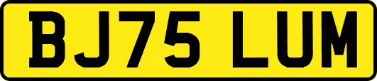 BJ75LUM