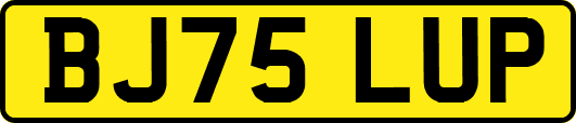 BJ75LUP