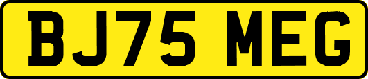 BJ75MEG