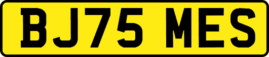 BJ75MES