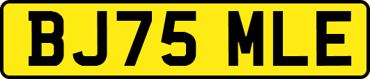 BJ75MLE