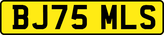 BJ75MLS
