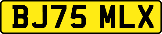 BJ75MLX