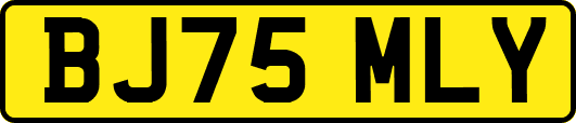 BJ75MLY