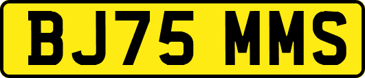 BJ75MMS
