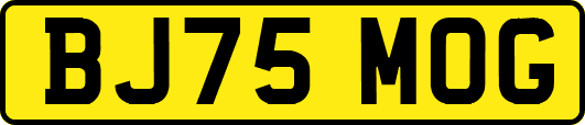 BJ75MOG