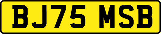 BJ75MSB
