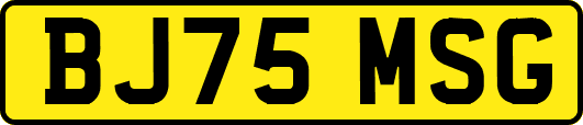 BJ75MSG