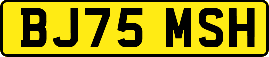 BJ75MSH