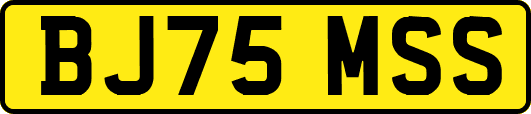 BJ75MSS
