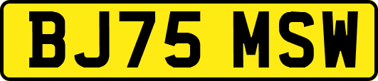 BJ75MSW