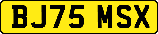 BJ75MSX